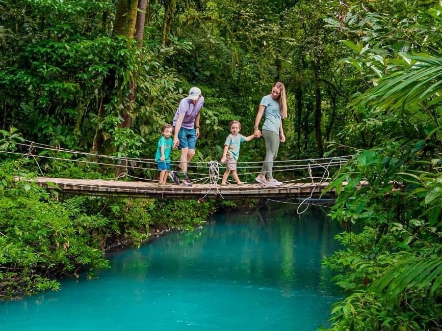 "Stunning turquoise waters of Rio Celeste, with lush rainforest surrounding the river, showcasing the unique natural beauty of Costa Rica's national park."