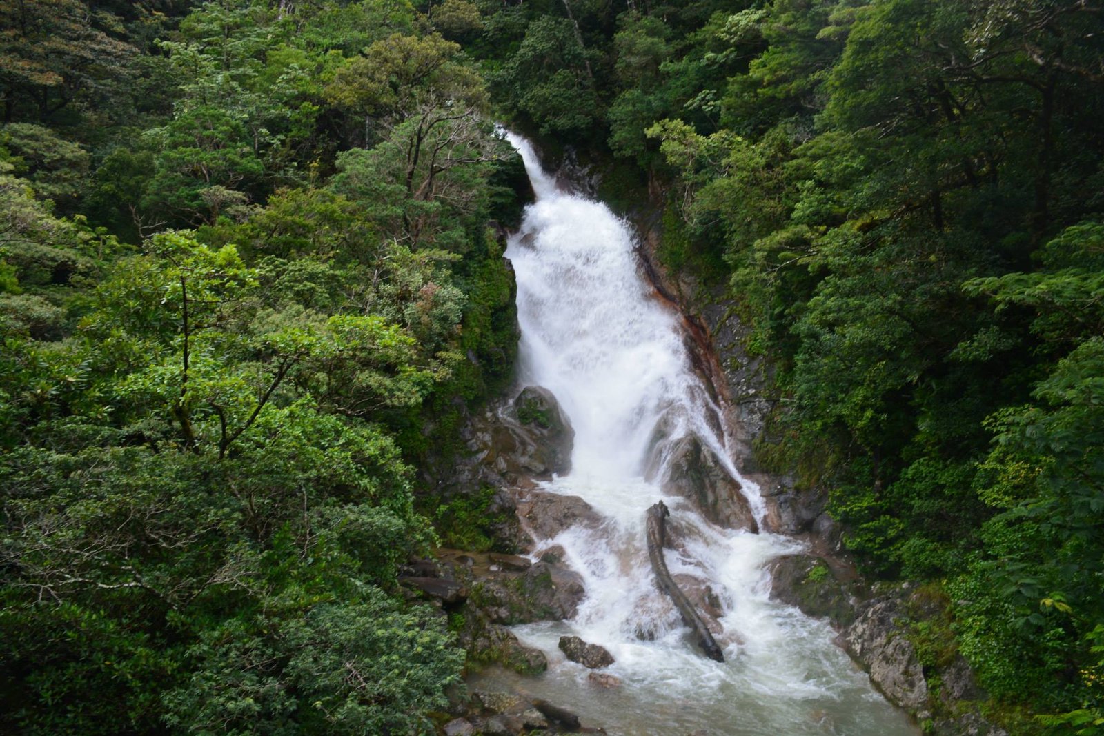"Scenic view of Miravalles Waterfalls surrounded by lush green forest, with crystal-clear water cascading down rocky cliffs into a serene pool below."
