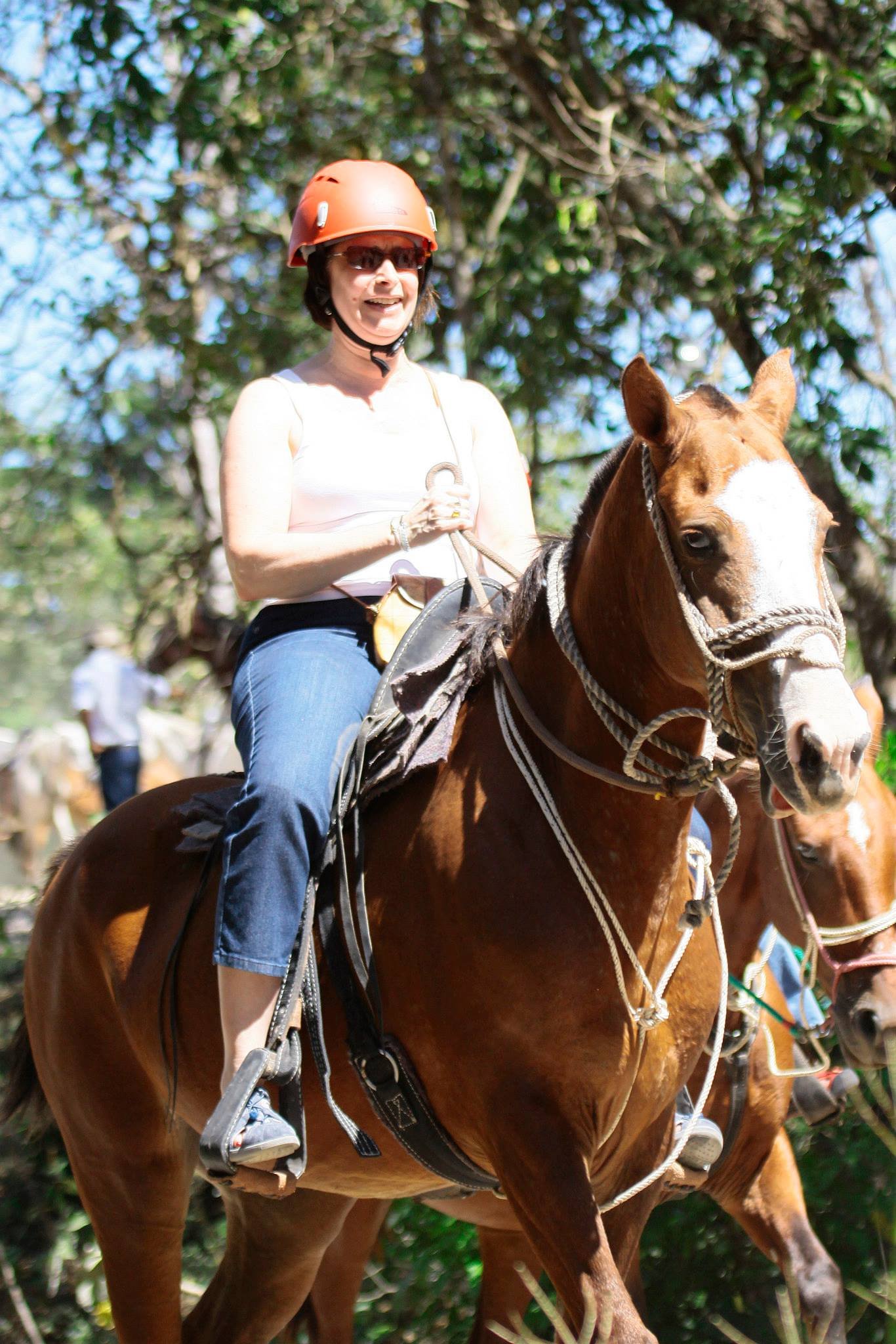 "Scenic view of Rincón de la Vieja National Park featuring lush forests, volcanic landscapes, and steaming geothermal activity, showcasing the park’s natural beauty and adventure opportunities."