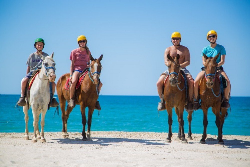 Horseback riding along Tamarindo Beach, Costa Rica, with stunning ocean views and golden sand at sunset." 🏇🌅🌴