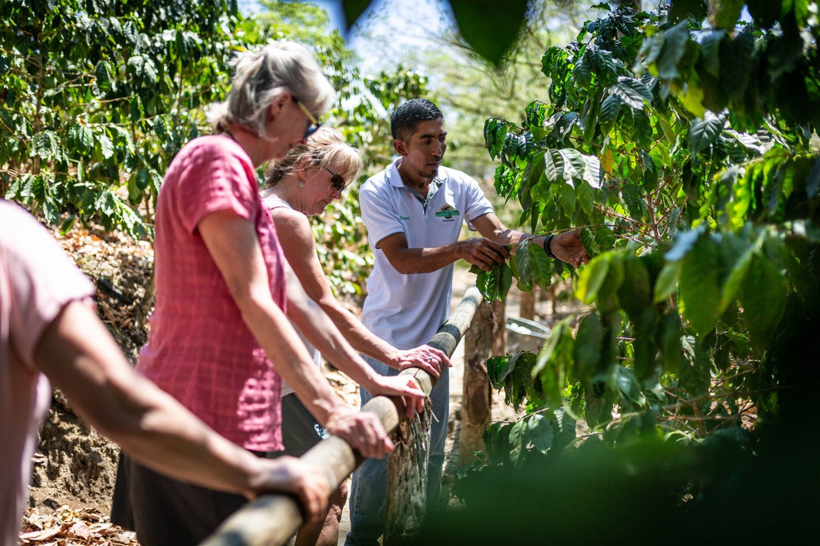 Coffee Tour in Costa Rica: Visitors exploring a lush coffee plantation and learning about the coffee-making process."